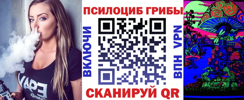 Галлюциногенные грибы Psilocybe  кракен зеркало  нарко площадка наркотические препараты  Цивильск 